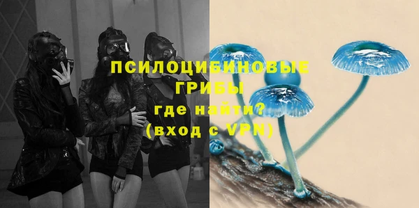 прущий лед Дмитров
