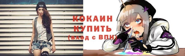 крисы Дмитриев