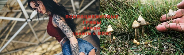 прущий лед Дмитров